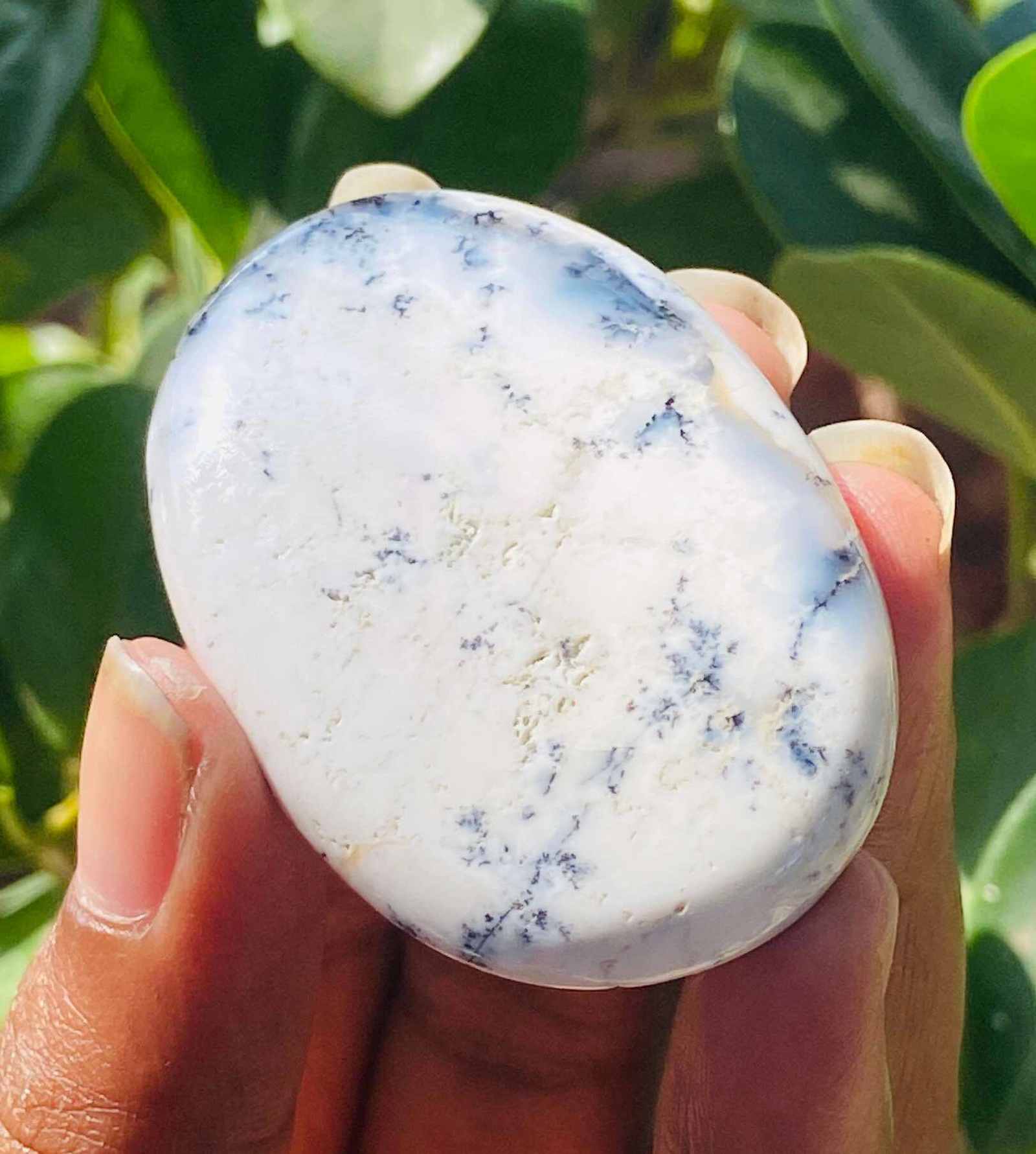 「新商品」に関するプレスリリース Genuine Z18 74 Lot Cabochon Opal Candy Cts 285.00 ブレスレット・バングル
