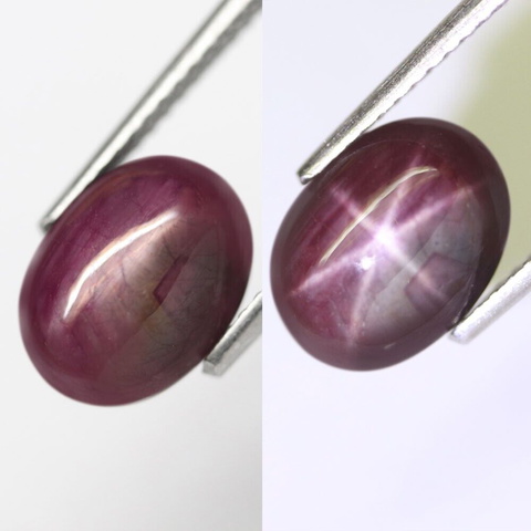 4.33 ct 6-Ray Star Purplish Red Ruby - Mozambique
