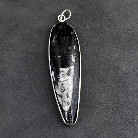 Genuine 14.00 Gms Orthoceras Pendant 41-H247