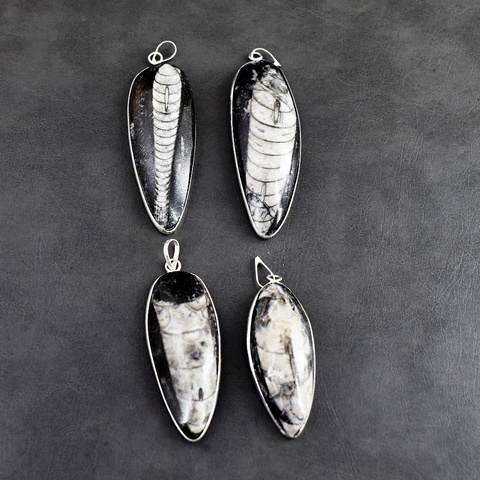 Genuine 52.00 Gms Orthoceras Tibet Silver Pendant Lot 55-H247