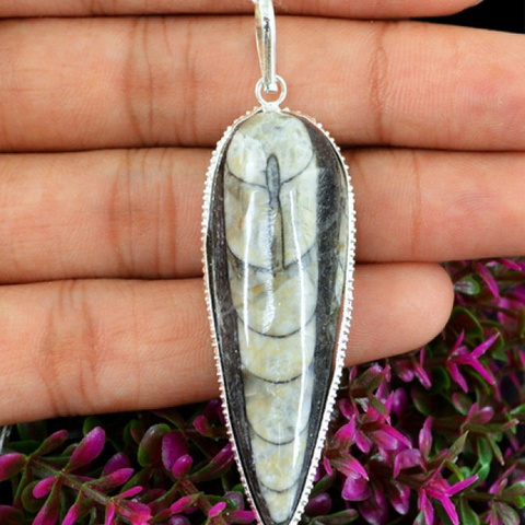 Natural 13.30 Gms Orthoceras Fossil AAA Pendant
