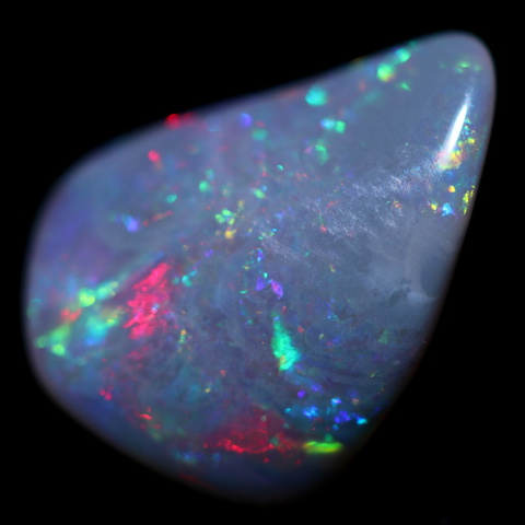1.15 Cts Shell fossil fire opal QOM 2005