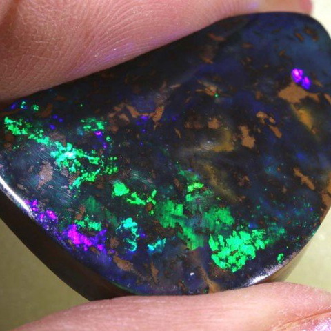 31.7 cts Quality Boulder Opal INV-423