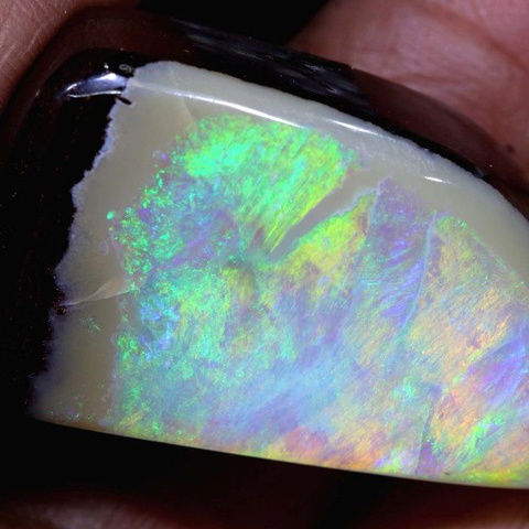 65.9 cts Boulder Yowah Brandy Gully INV-2837