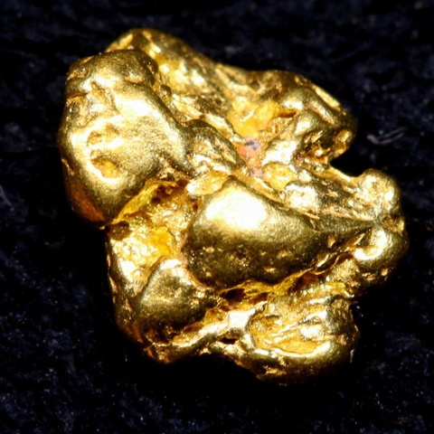 1.64 cts Alaskan Gold Nugget TBG-3743