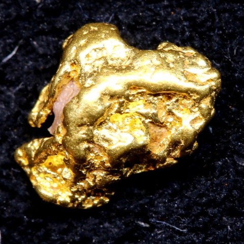 1.55 cts Alaskan Gold Nugget TBG-3734
