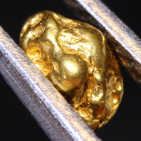 1.45 cts Alaskan Gold Nugget TBG-3863