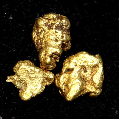 1.94 cts Alaskan Gold Nugget Parcel TBG-3307
