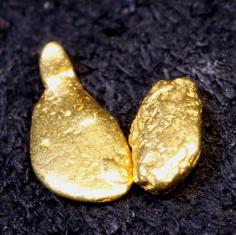 1.45 cts Alaskan Gold Nugget 2 pcs TBG-4473