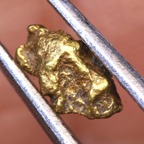 1.2 cts Alaskan Gold Nugget TBG-3842