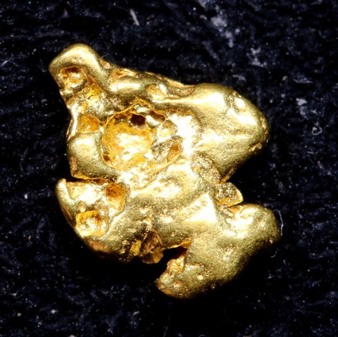 0.99 cts Alaskan Gold Nugget TBG-3740