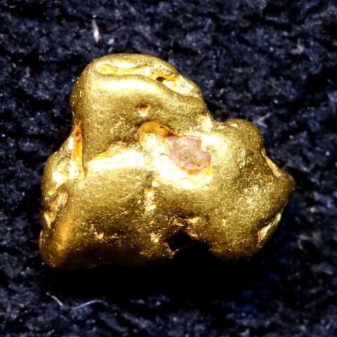 1.4 cts Alaskan Gold Nugget TBG-3739
