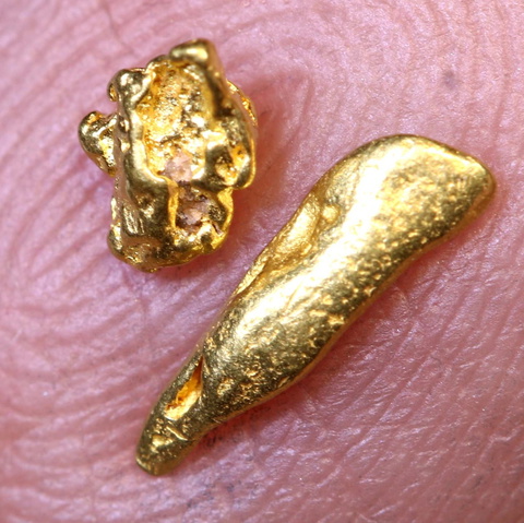 1.35 cts Alaskan Gold Nugget 2 pcs TBG-4494
