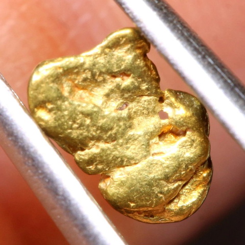 1.4 cts Alaskan Gold Nugget TBG-3759