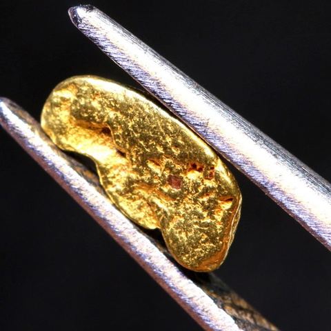 1.35 cts Alaskan Gold Nugget TBG-3770