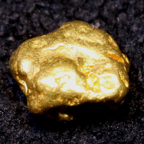 0.24g / 1.2 cts Alaskan Gold Nugget TBG-3847