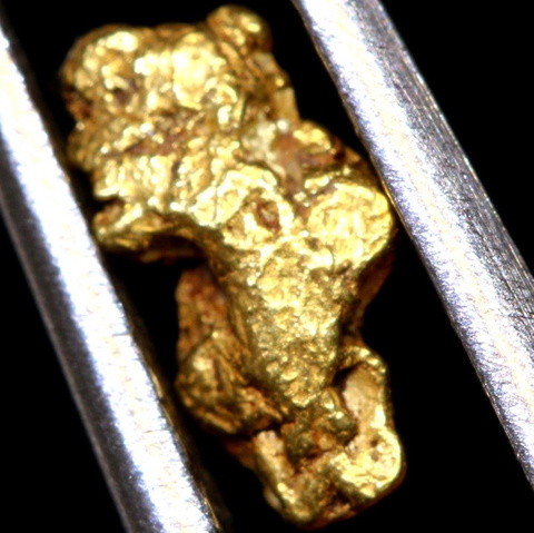 1.1 cts Alaskan Gold Nugget TBG-3833
