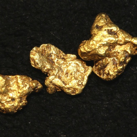 1.55 cts Alaskan Gold Nugget Parcel TBG-3306