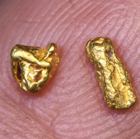 1.25 cts Alaskan Gold Nugget 2 pcs TBG-4486