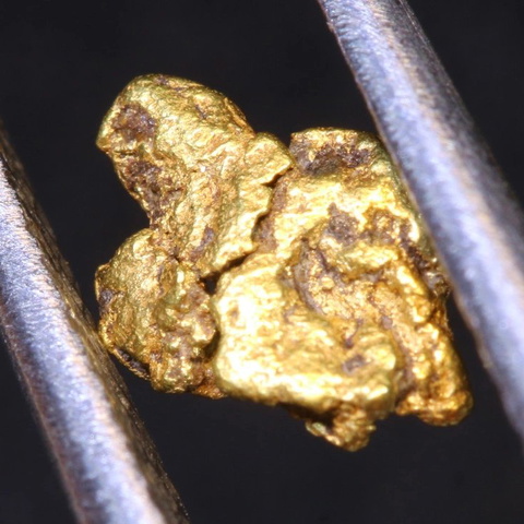 1.1 cts Alaskan Gold Nugget TBG-3838