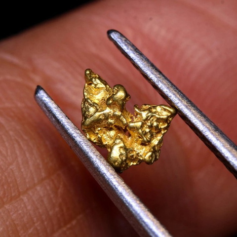 1.20 cts Alaskan Gold Nugget TBG-3790