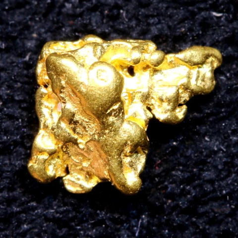 1.26 cts Alaskan Gold Nugget TBG-3737