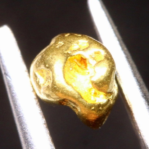 1.2 cts Alaskan Gold Nugget TBG-3760